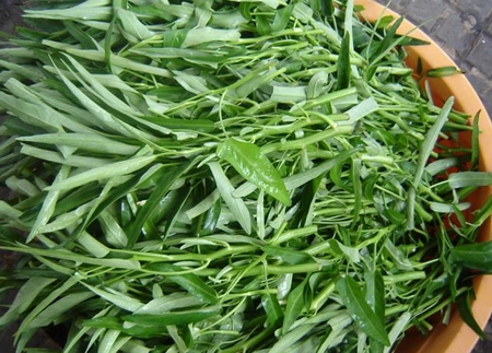 Rau muống là loại rau có giá trị dinh dưỡng cao